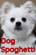 Dog Spaghetti