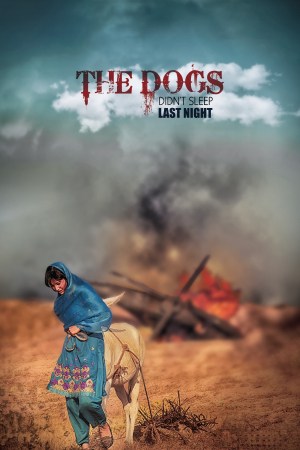 Dogs didn't sleep last night