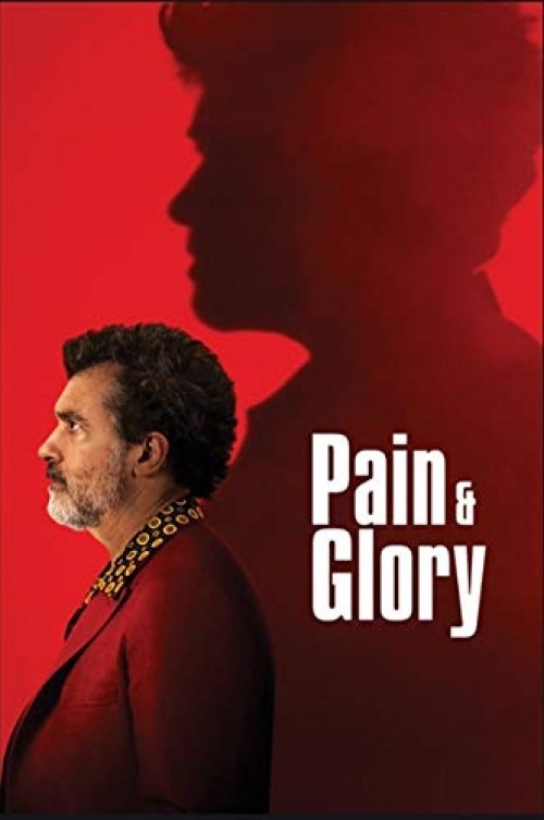 Poster de DOLOR Y GLORIA