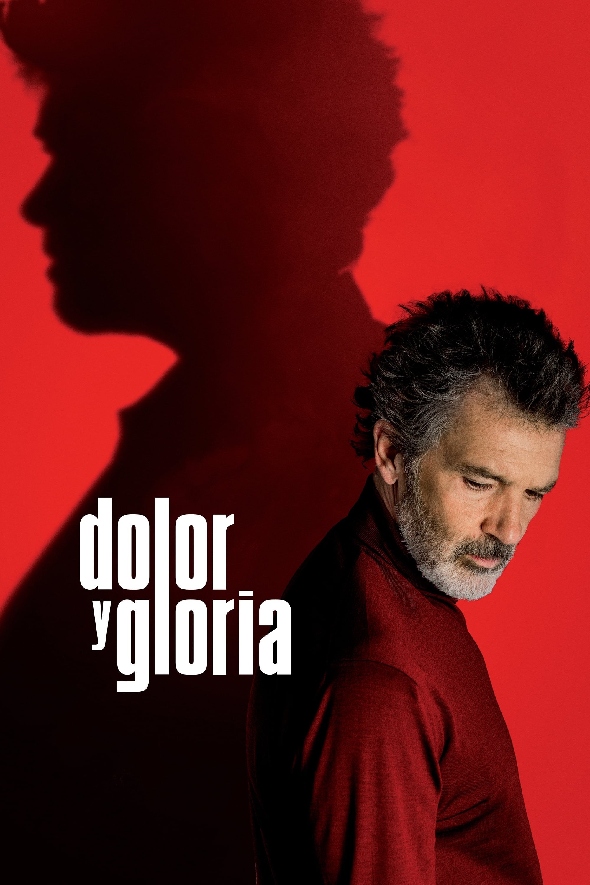 Poster de DOLOR Y GLORIA en español