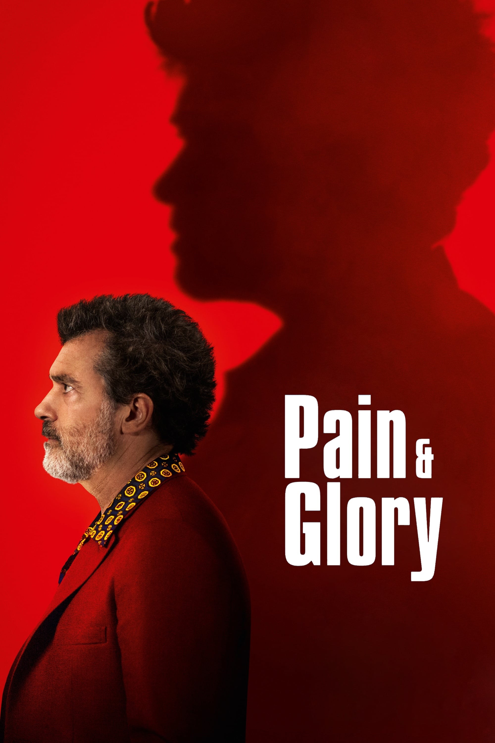 Poster de DOLOR Y GLORIA en inglés