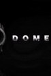 Domestic Seduction