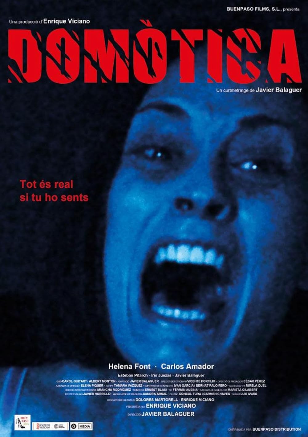 Poster de DOMÓTICA