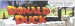Donald Duck in Silent Night