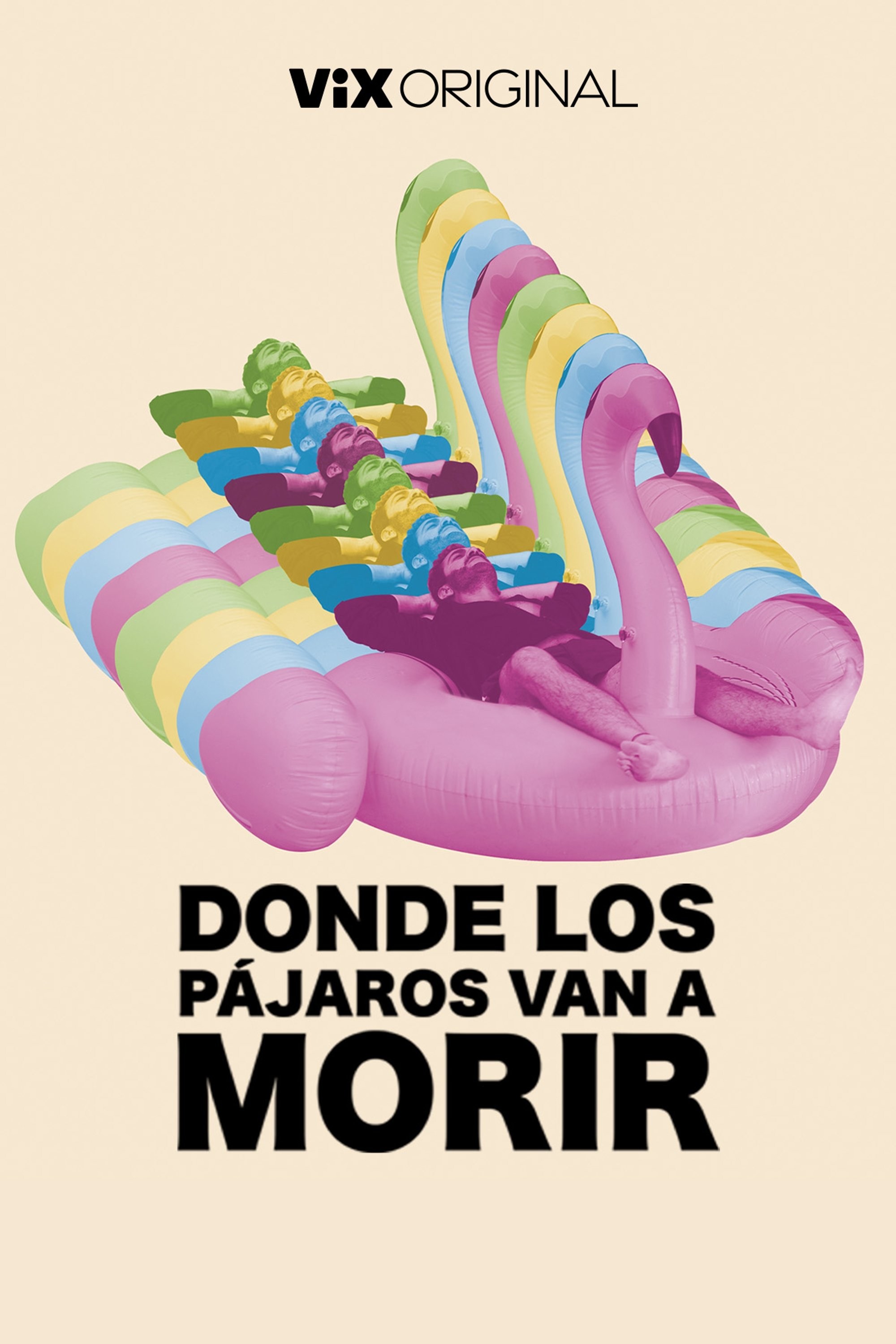 Poster de DONDE LOS PÁJAROS VAN A MORIR en español