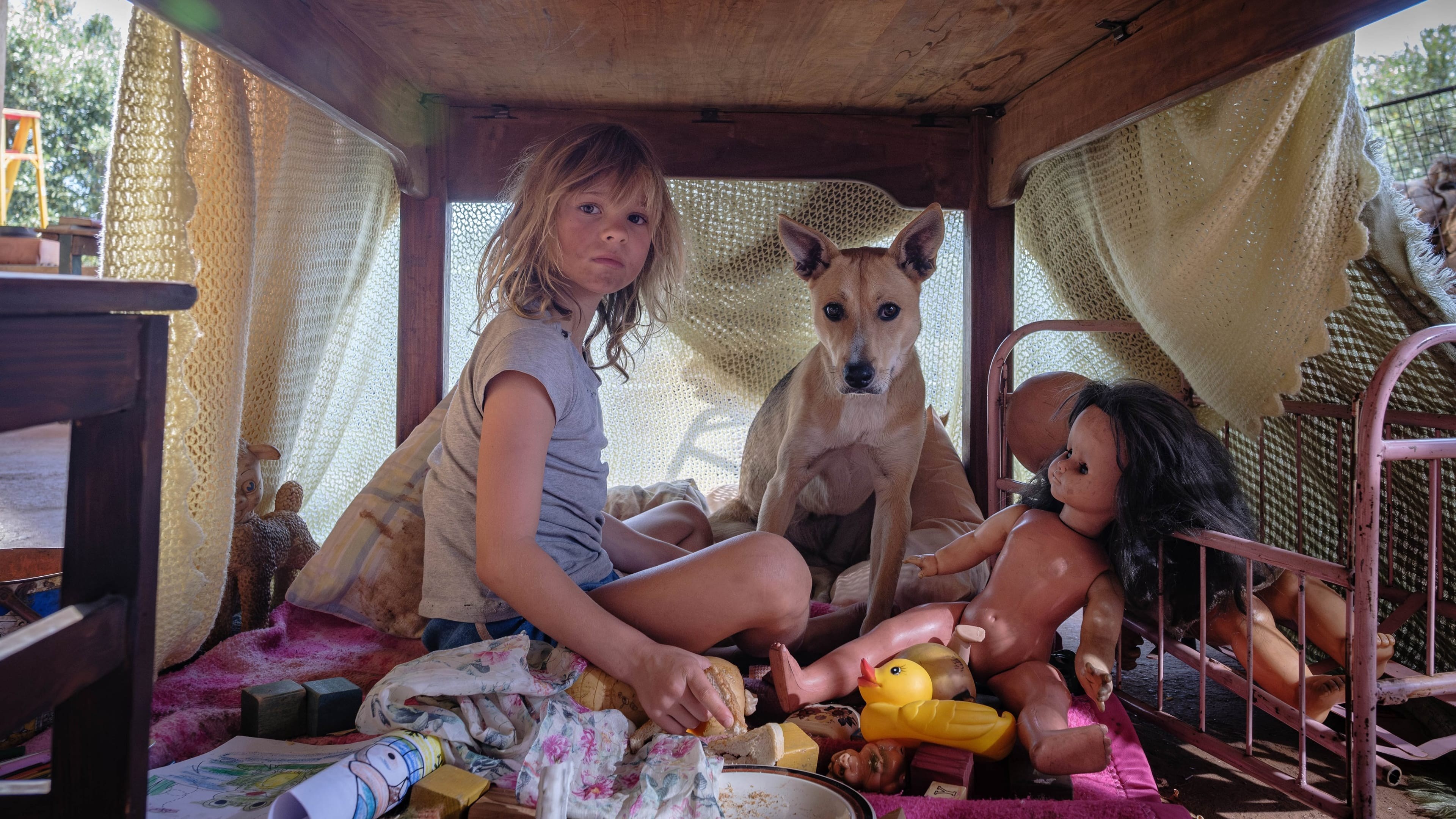 Foto de DON'T LET'S GO TO THE DOGS TONIGHT
