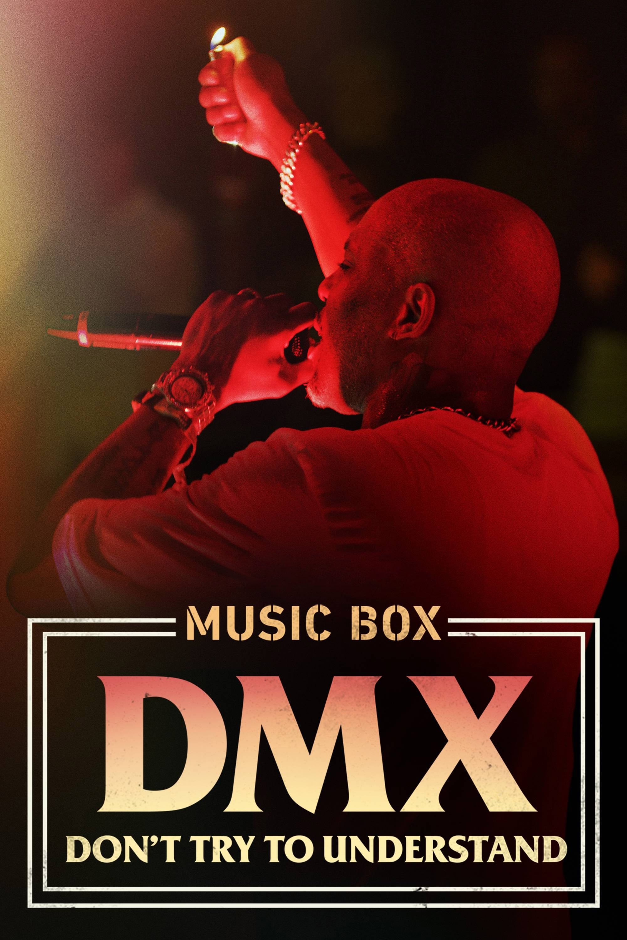 Poster de DMX: DON'T TRY TO UNDERSTAND en inglés