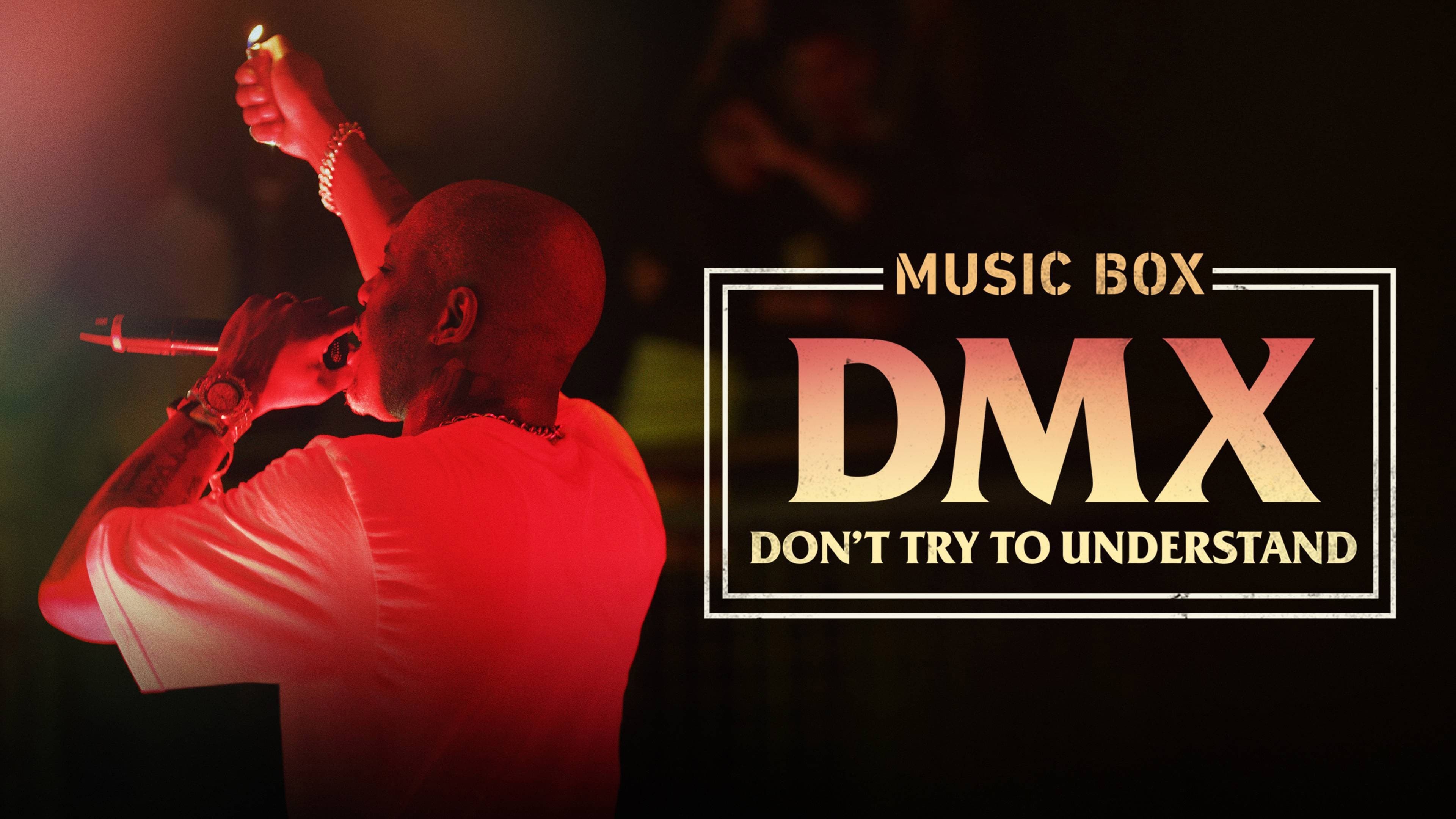 Foto de DMX: DON'T TRY TO UNDERSTAND