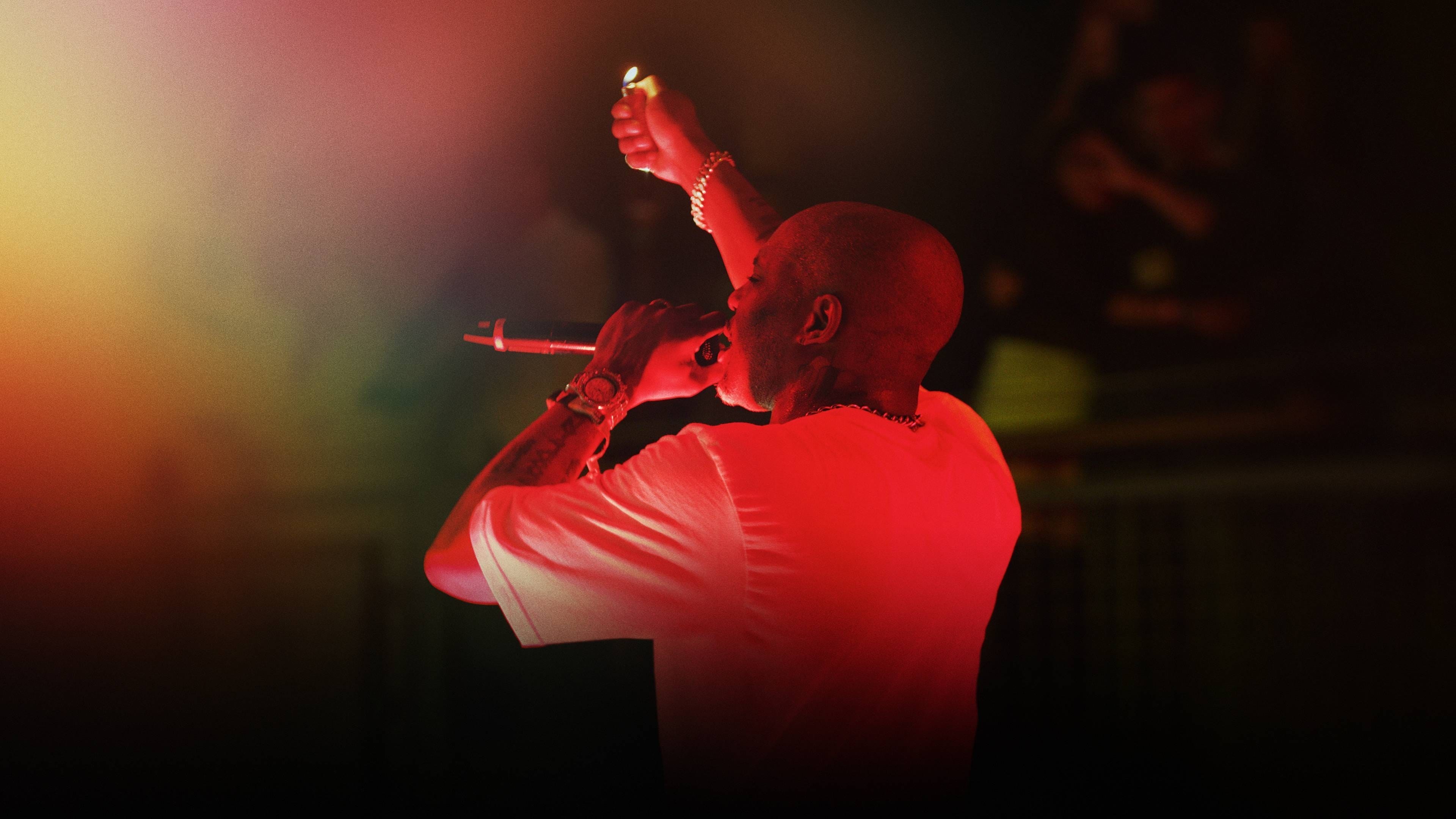 Foto de DMX: DON'T TRY TO UNDERSTAND