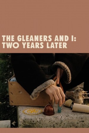 Dos años después (Los espigadores y la espigadora 2)
