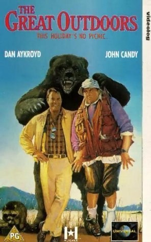 Poster de DOS CUÑADOS DESENFRENADOS