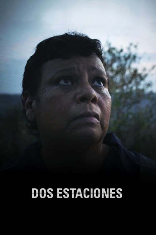 Poster de DOS ESTACIONES