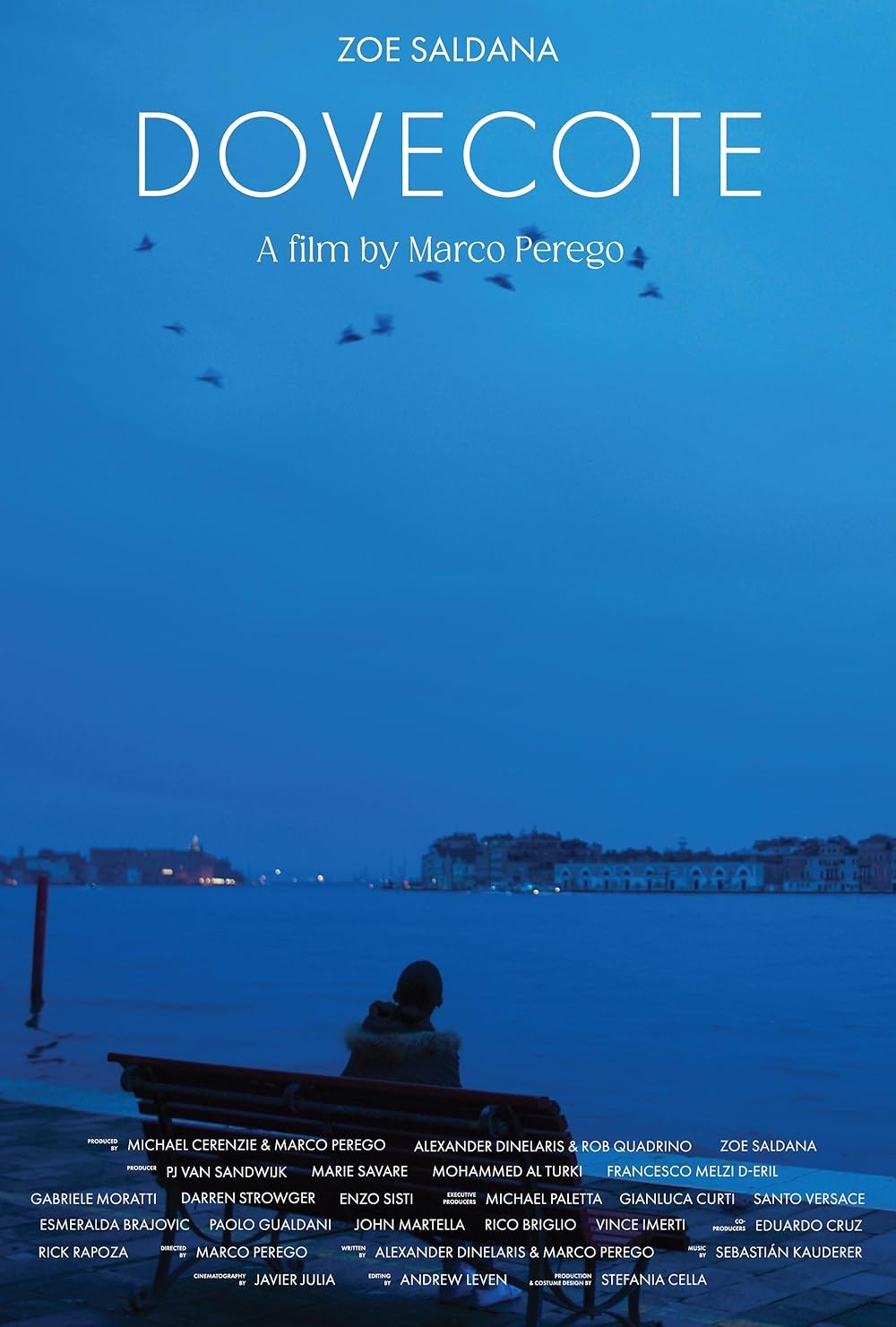 Poster de DOVECOTE