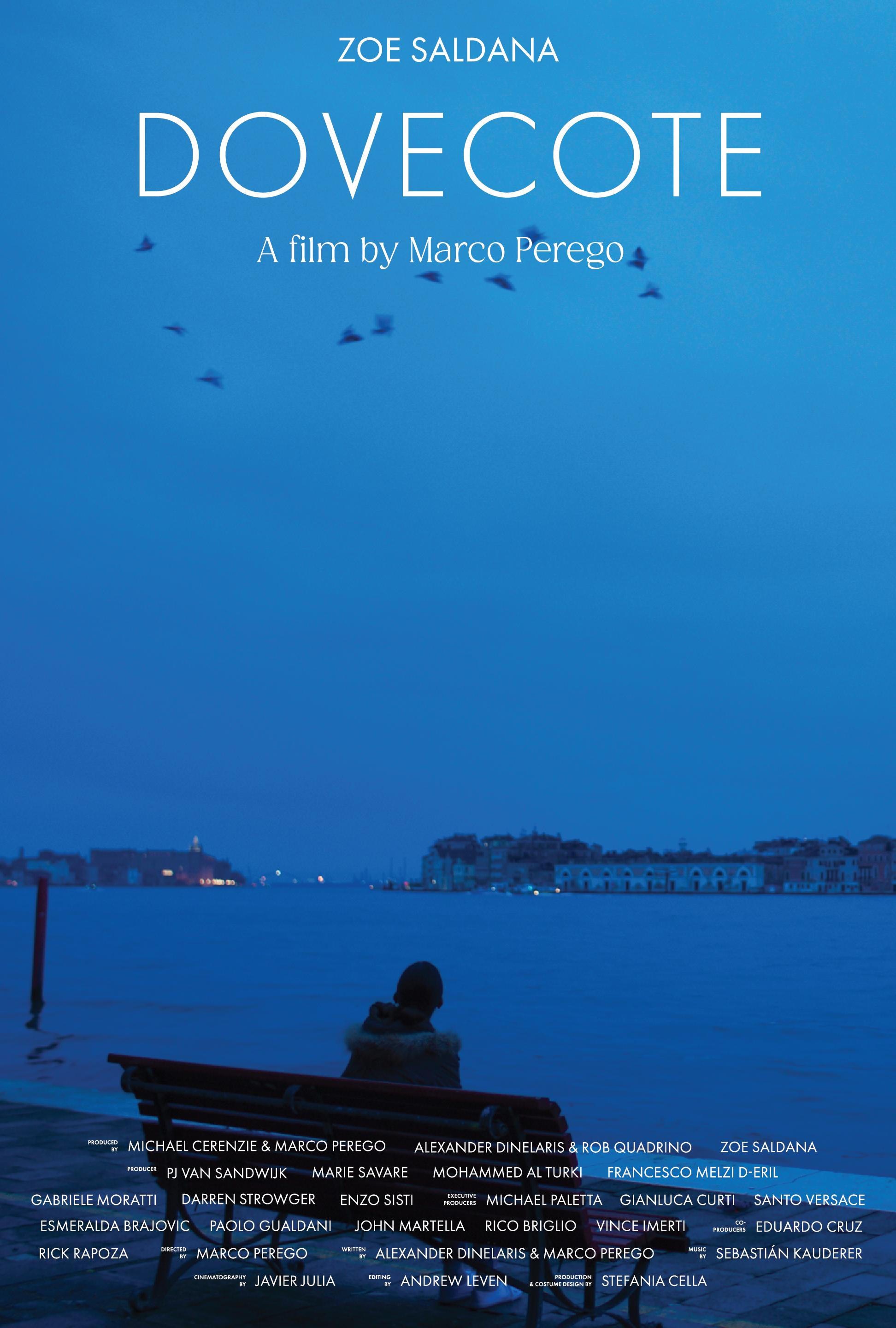 Poster de DOVECOTE