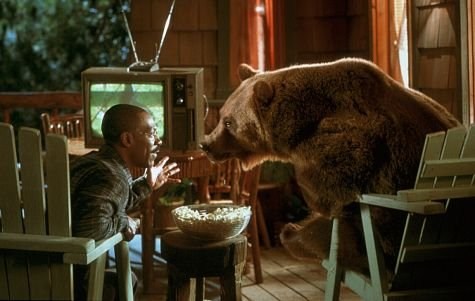 Foto de DR. DOLITTLE 2