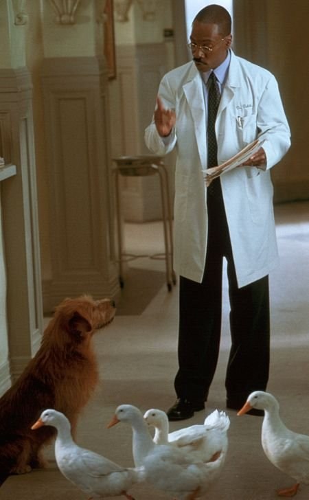 Poster de DR. DOLITTLE 2