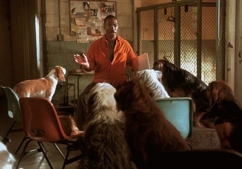 Foto de DR. DOLITTLE 2