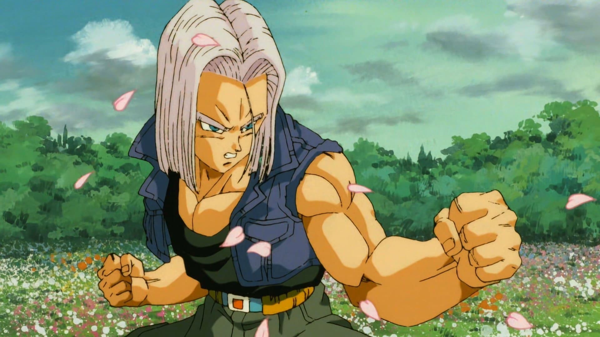 Foto de DRAGON BALL Z: LOS GUERREROS DE PLATA