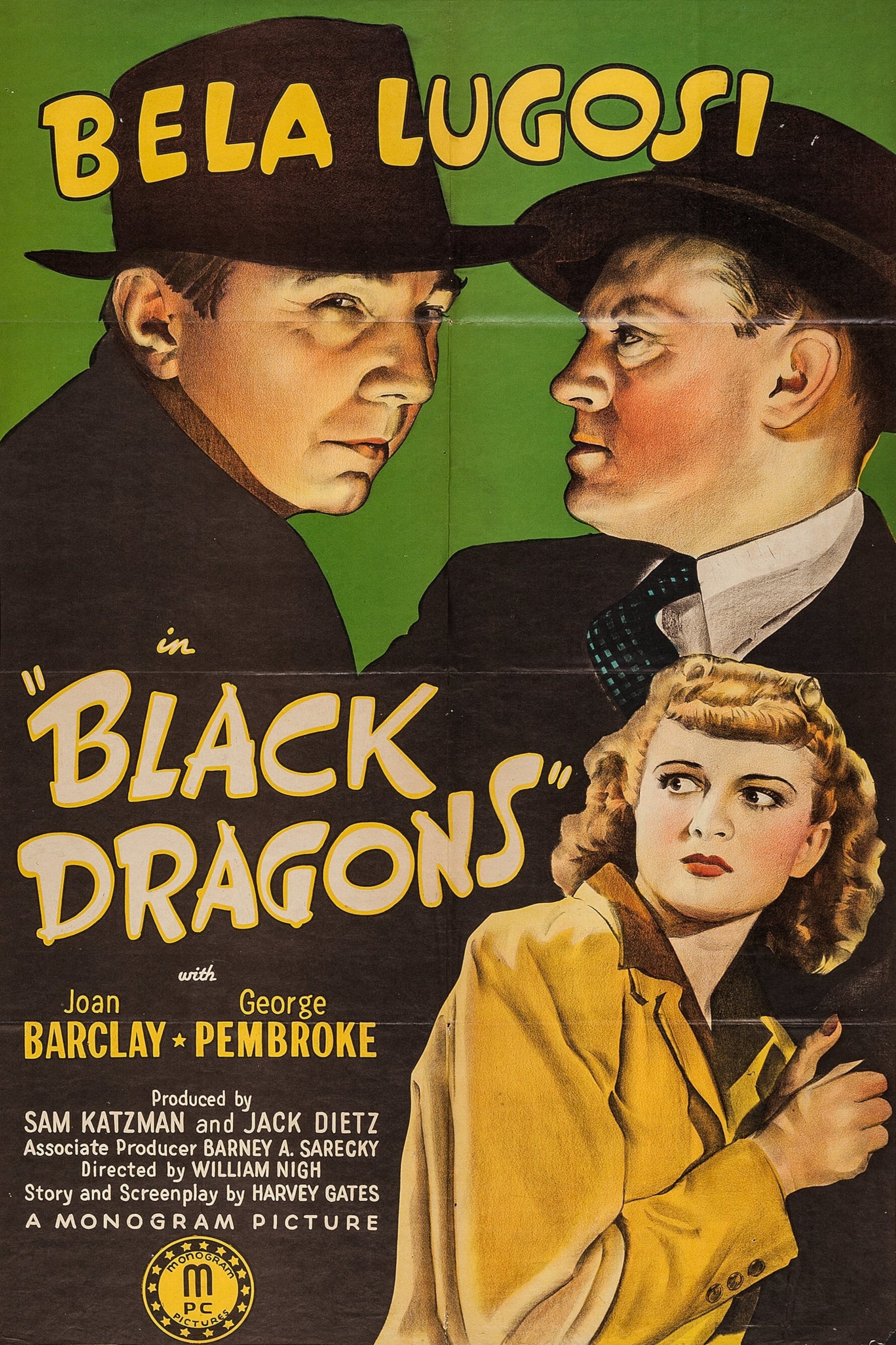 Poster de DRAGONES NEGROS en inglés