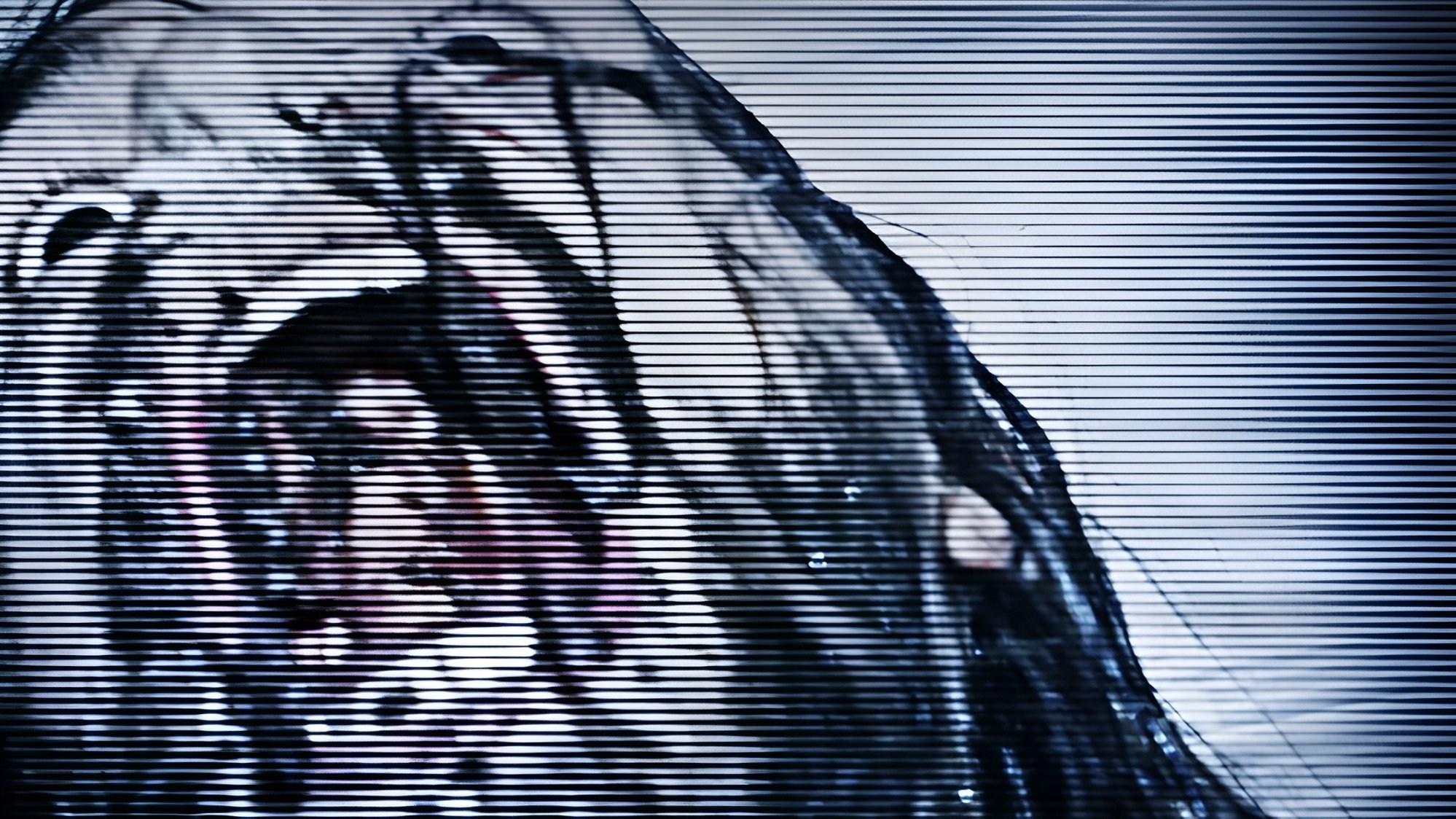Foto de DREAM EATER