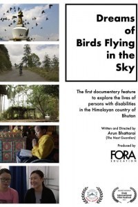 Dreams of Birds Flying in the Sky