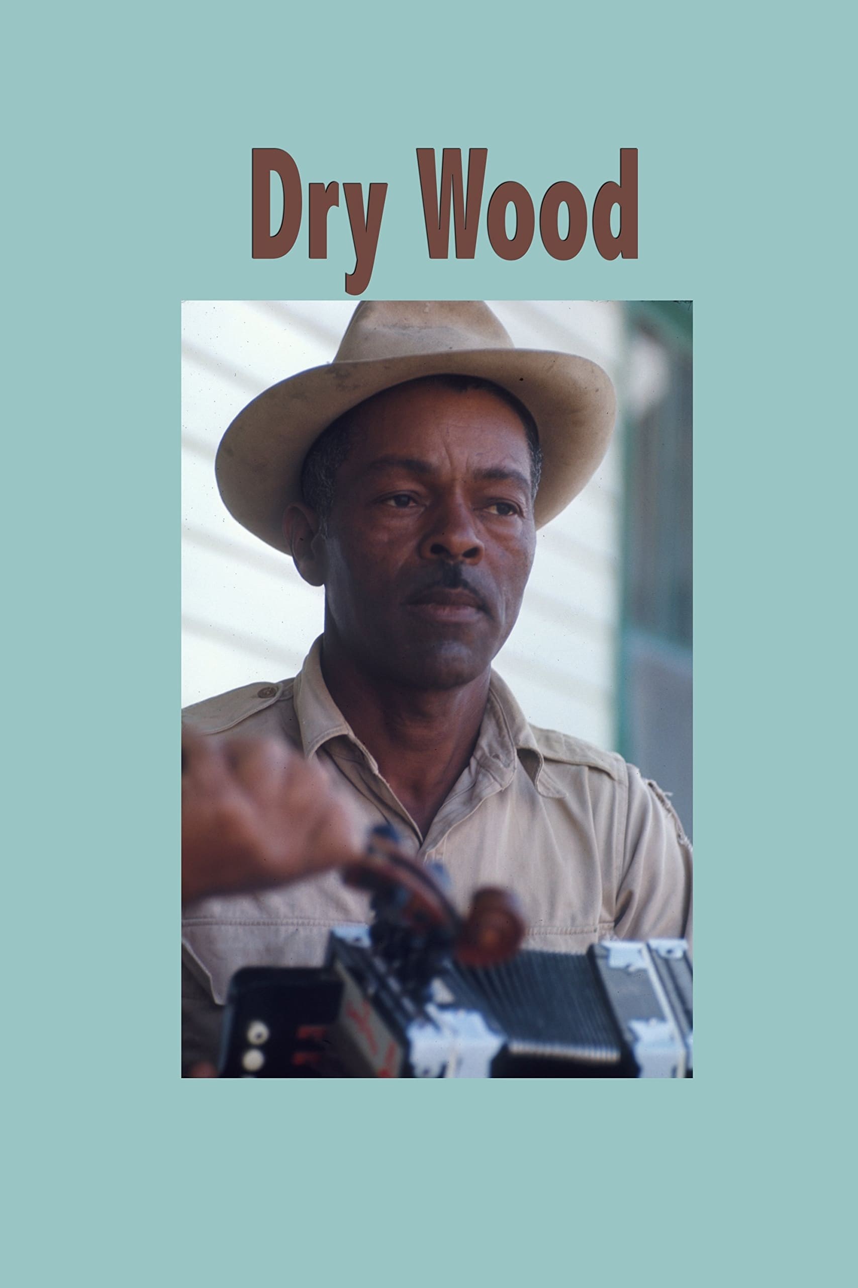 Poster de DRY WOOD