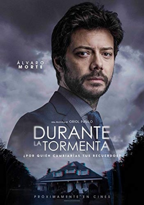 Poster de DURANTE LA TORMENTA