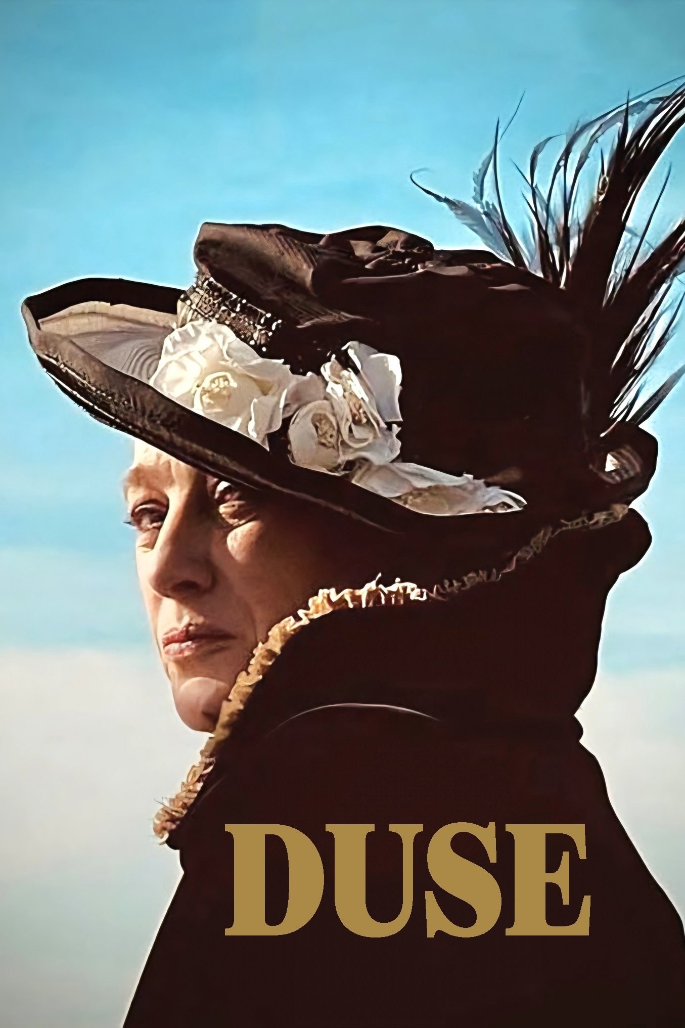 Poster de DUSE