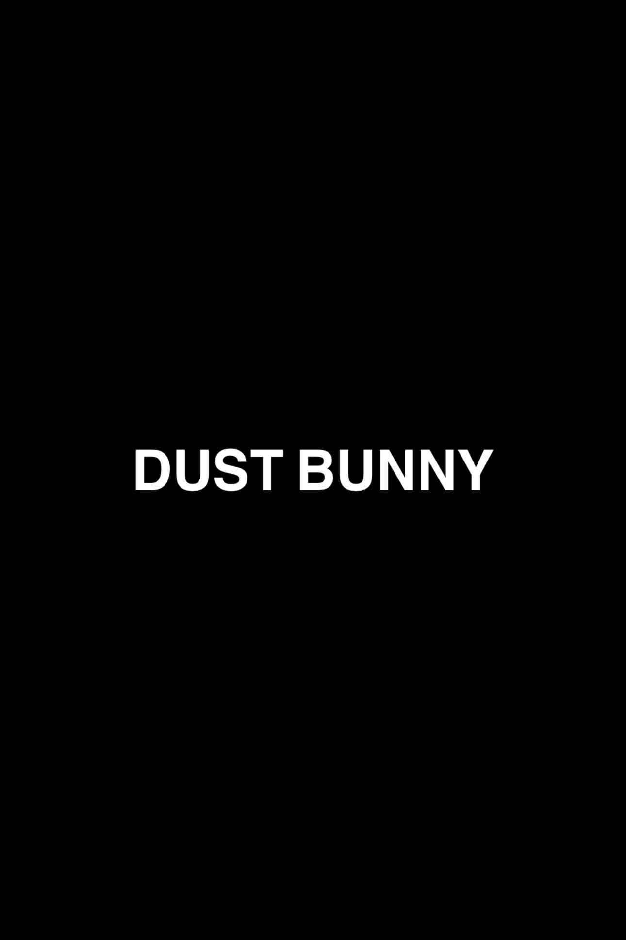 Poster de DUST BUNNY