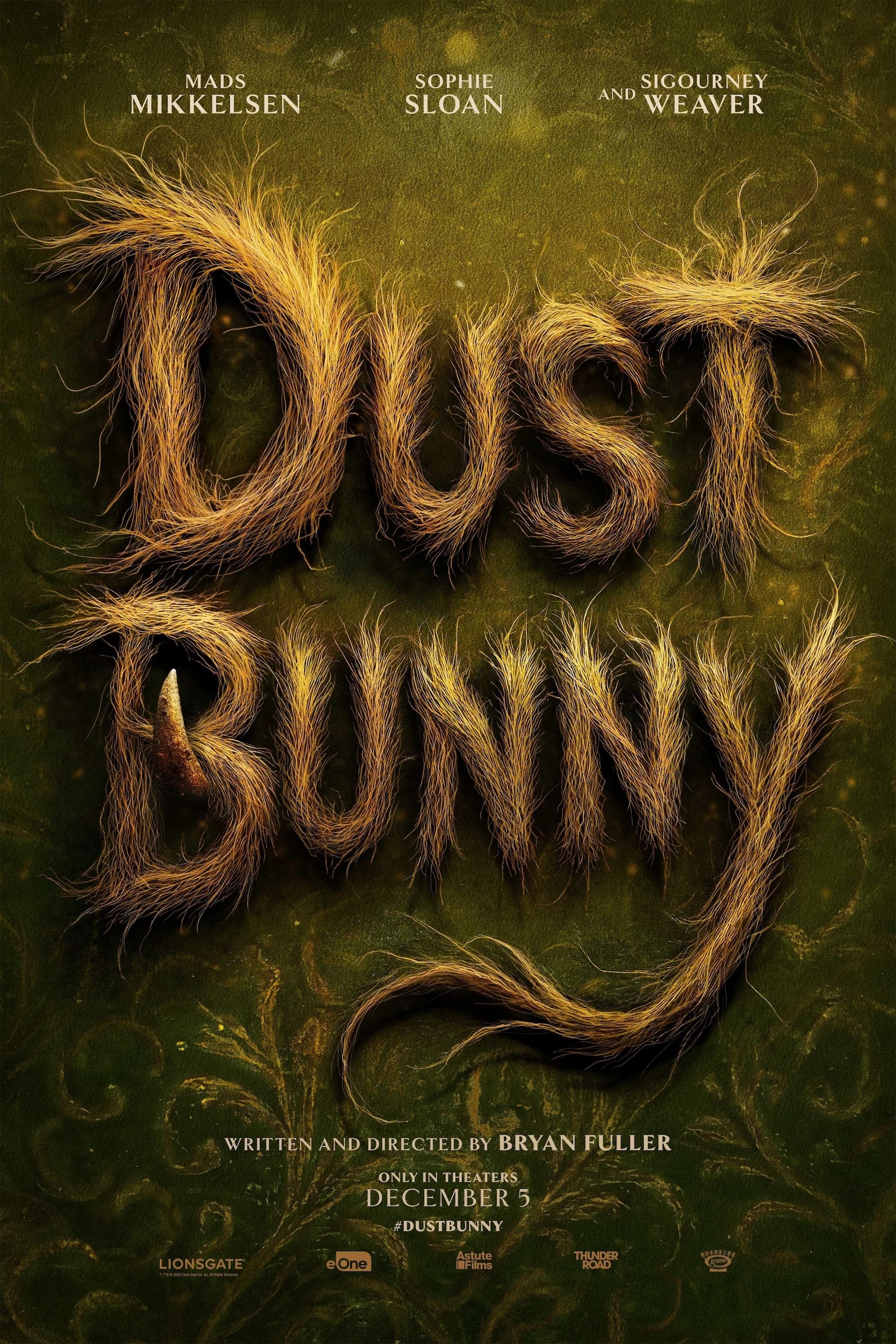 Poster de DUST BUNNY