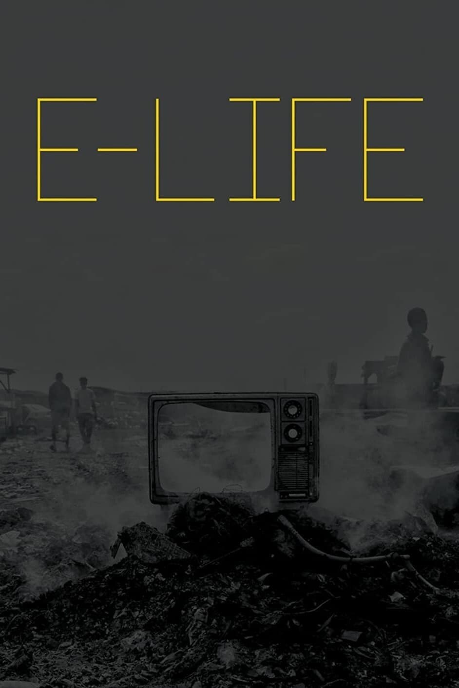 Poster de E-LIFE en inglés