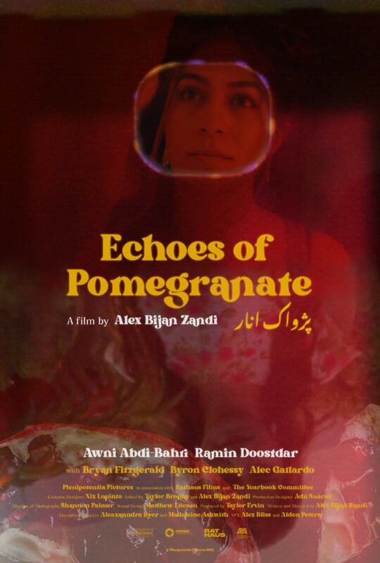 Poster de ECHOES OF POMEGRANATE