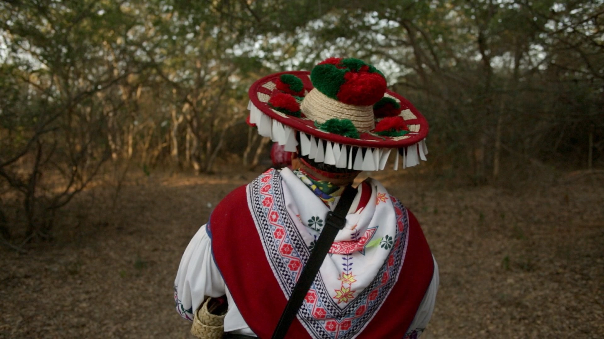 Foto de ECO DE LA MONTAÑA