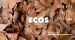 Ecos