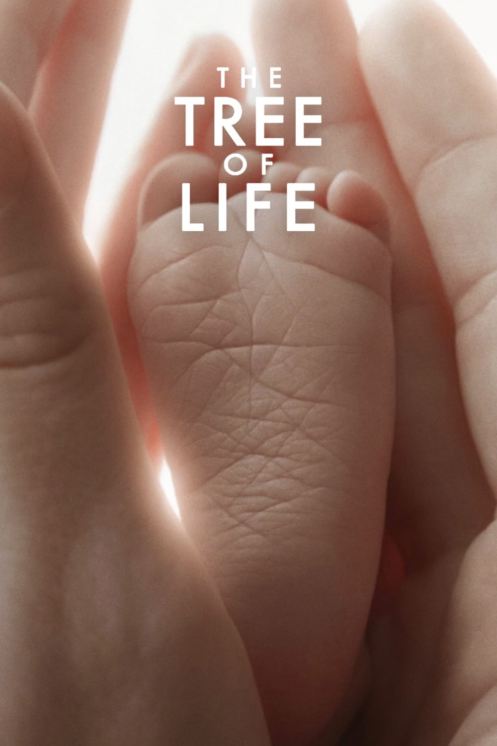 Poster de EL ÁRBOL DE LA VIDA en inglés