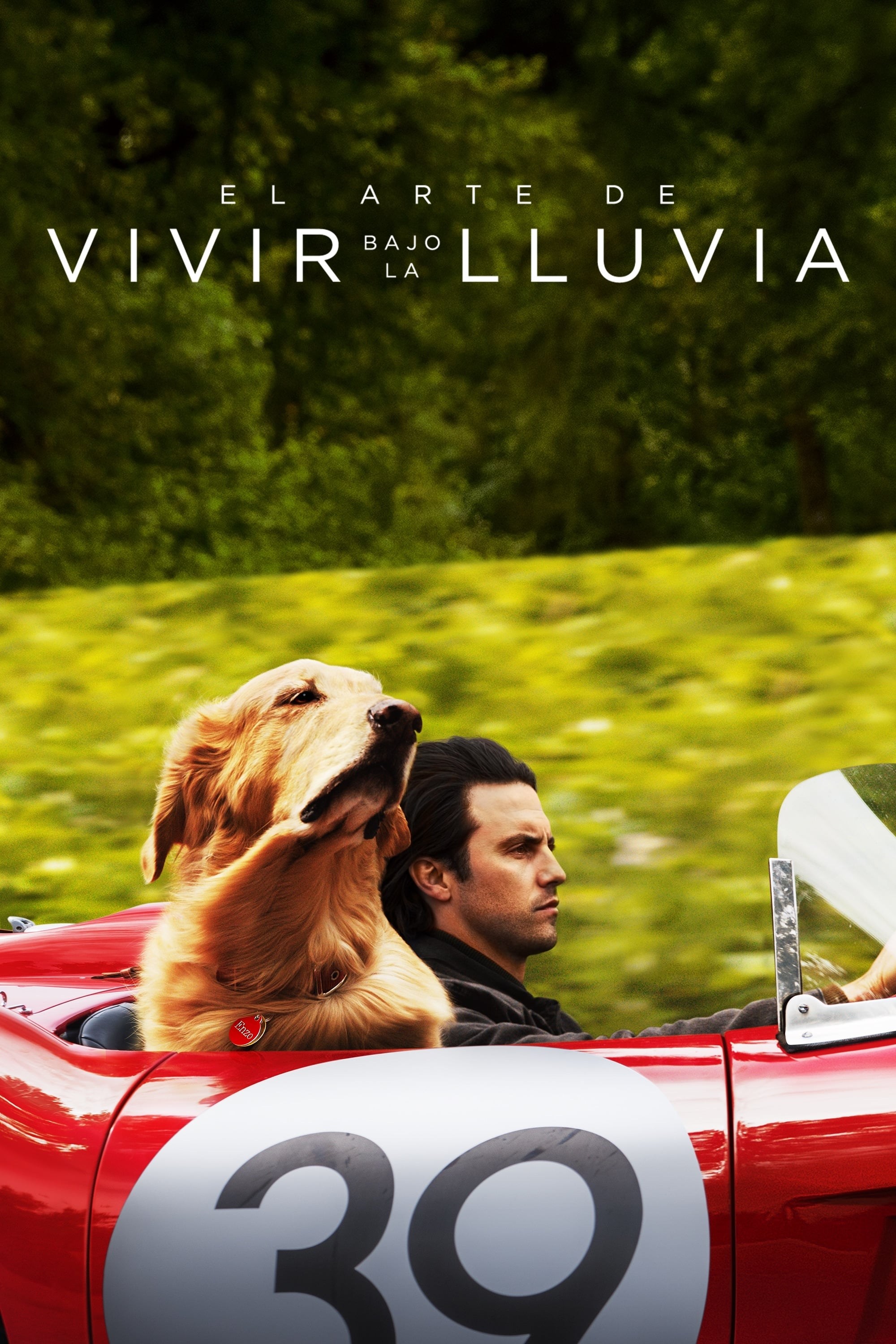 Poster de EL ARTE DE VIVIR BAJO LA LLUVIA en español