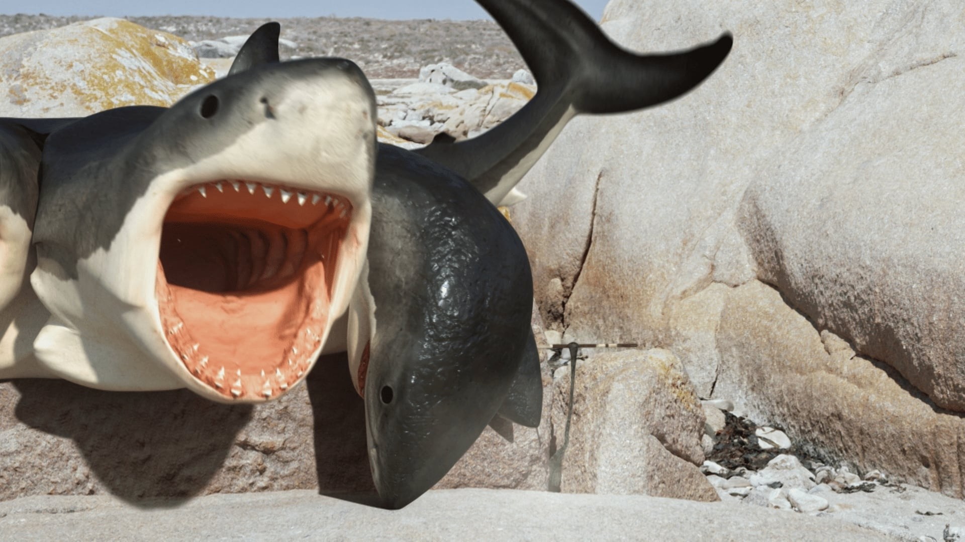 Foto de EL ATAQUE DEL TIBURÓN DE SEIS CABEZAS