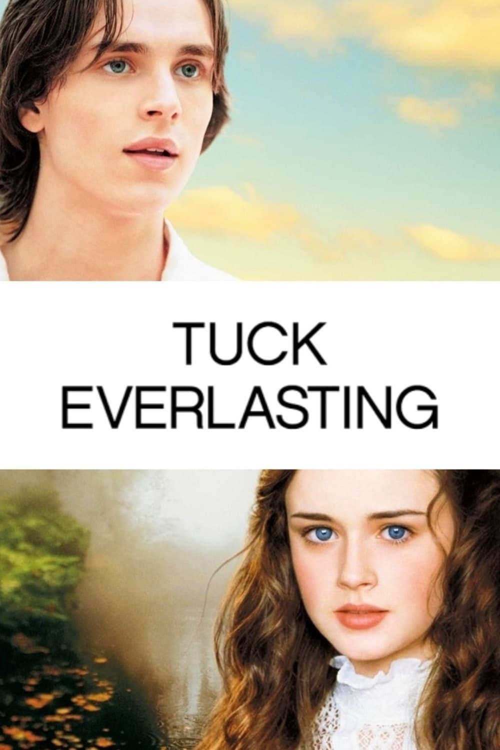 Poster de EL BOSQUE MÁGICO DE TUCK en inglés