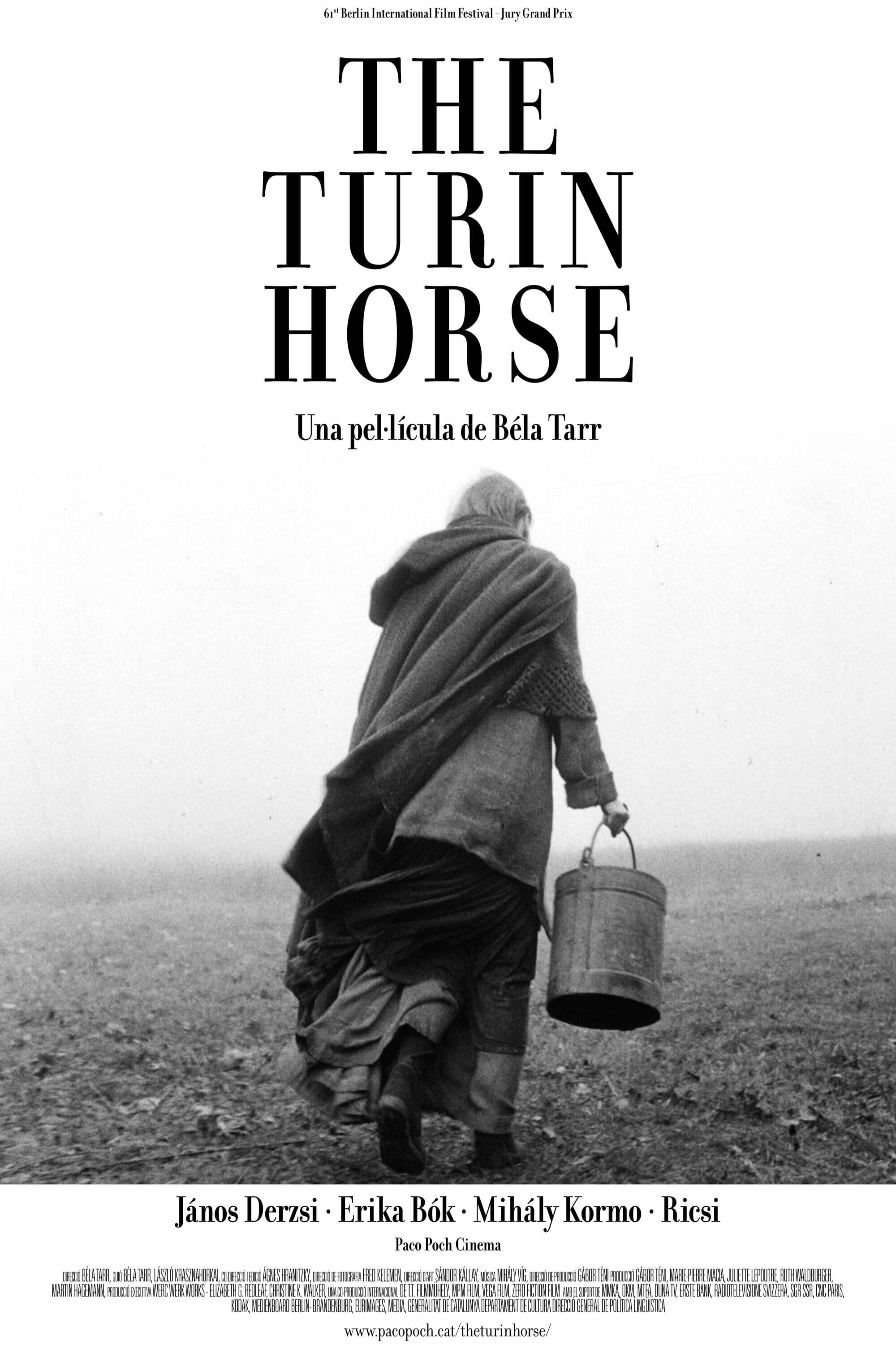 Poster de EL CABALLO DE TURÍN en español