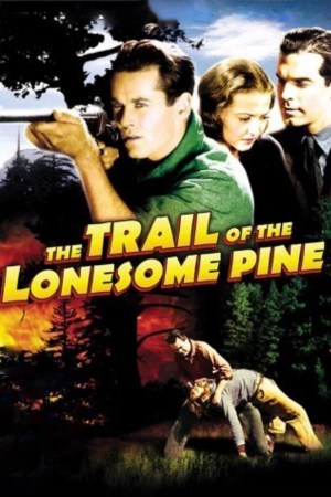 El camino del pino solitario