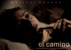 El Camino (the Way)