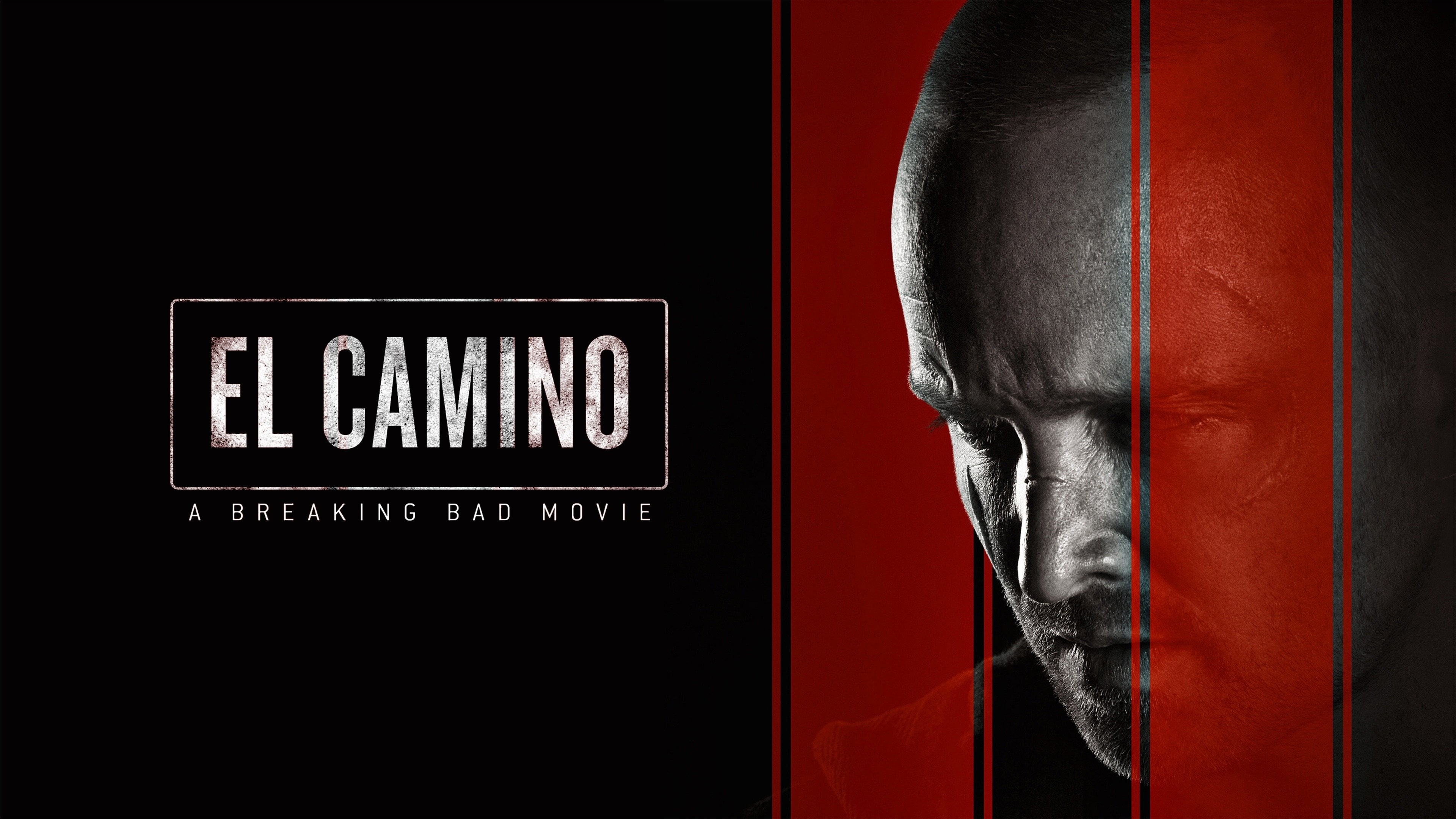 Foto de EL CAMINO: UNA PELÍCULA DE BREAKING BAD