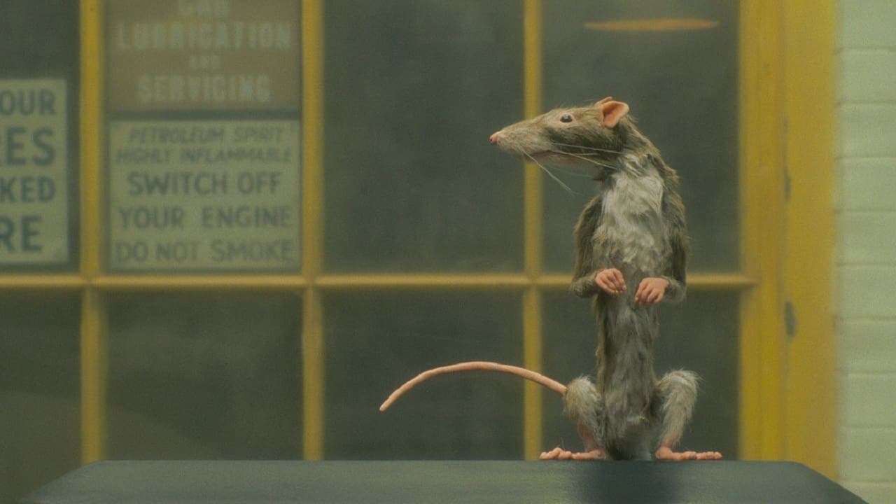 Foto de EL CAZADOR DE RATAS