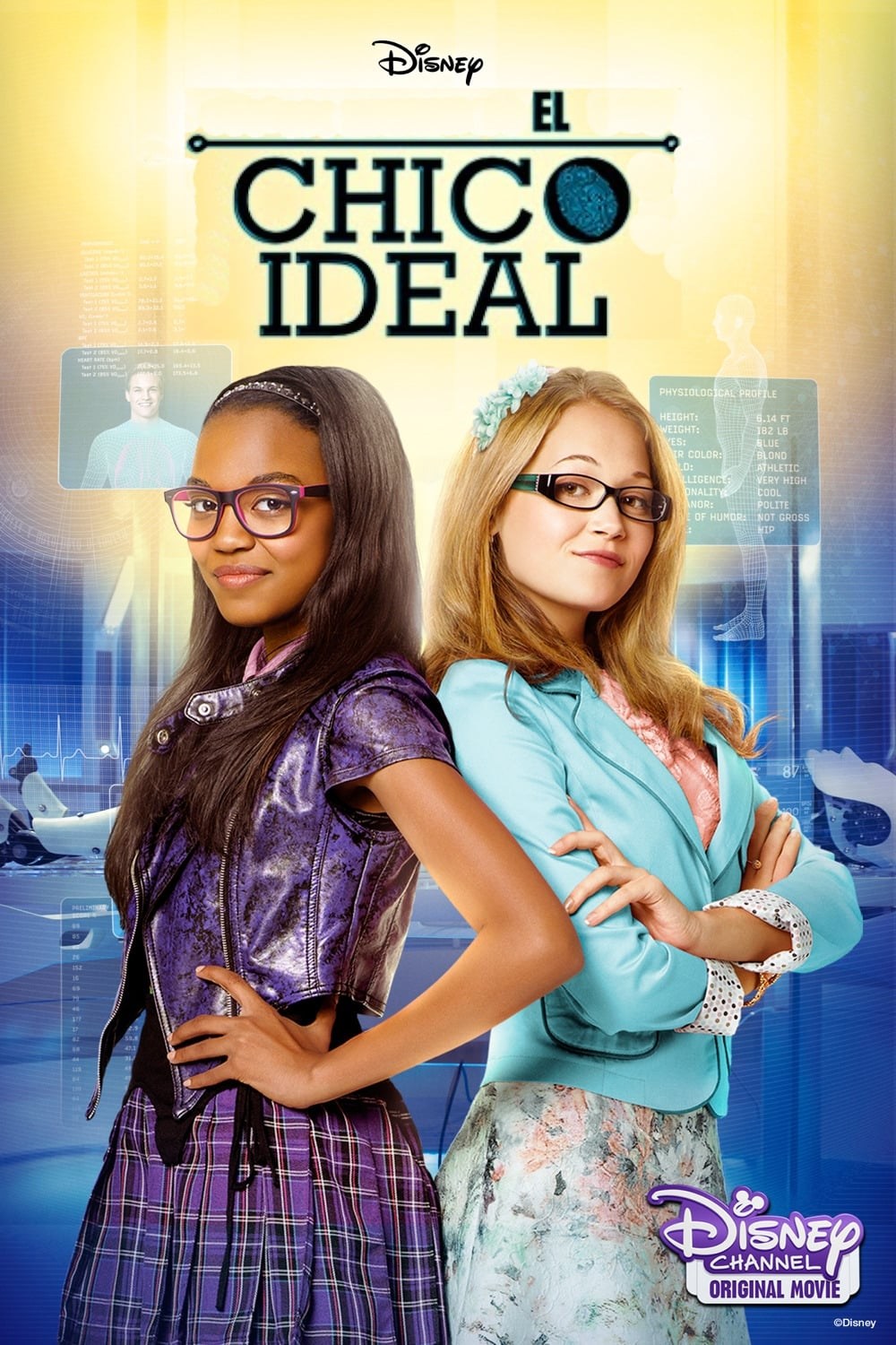 Poster de EL CHICO IDEAL en español