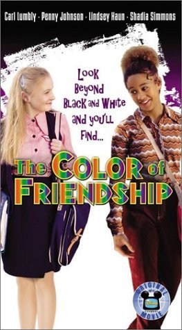 Poster de EL COLOR DE LA AMISTAD