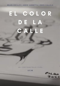 El Color de la Calle