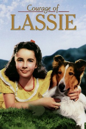 El coraje de Lassie