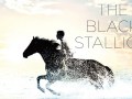 Foto de El corcel negro