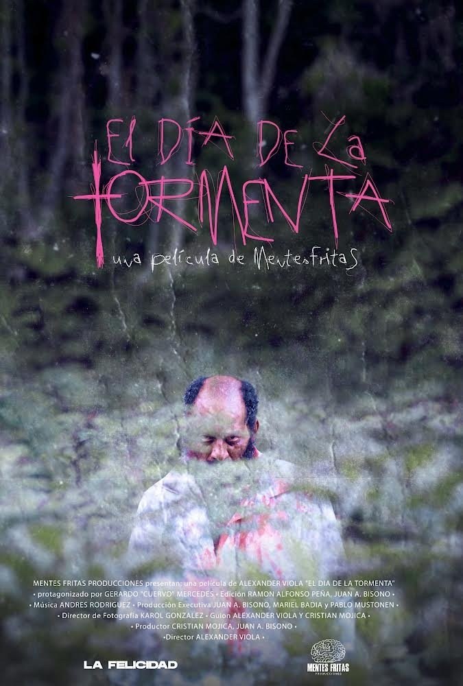 Poster de EL DÍA DE LA TORMENTA