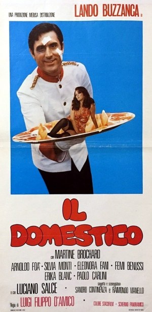 El doméstico
